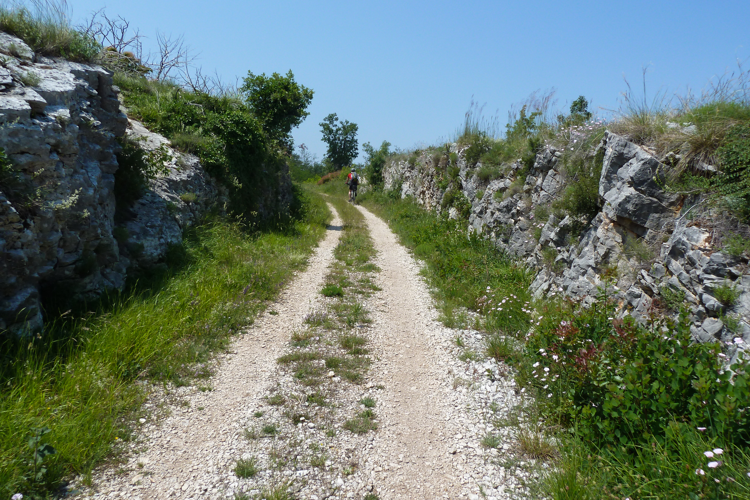 Schotterweg der Parenzana im Kalksteineinschnitt